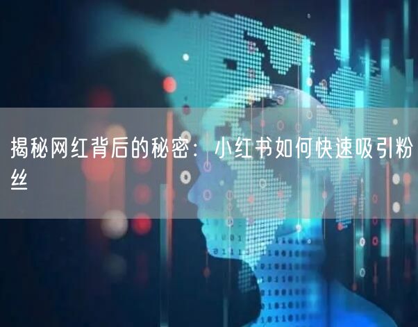 揭秘网红背后的秘密：小红书如何快速吸引粉丝