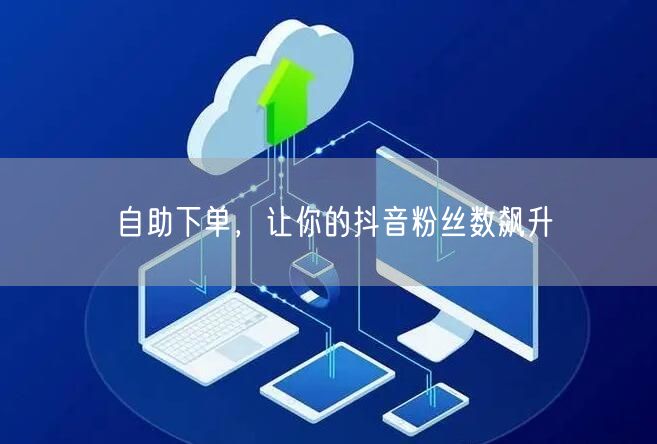 自助下单，让你的抖音粉丝数飙升