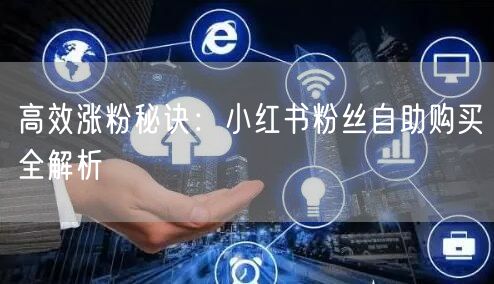 高效涨粉秘诀：小红书粉丝自助购买全解析