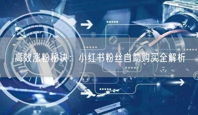 高效涨粉秘诀：小红书粉丝自助购买全解析