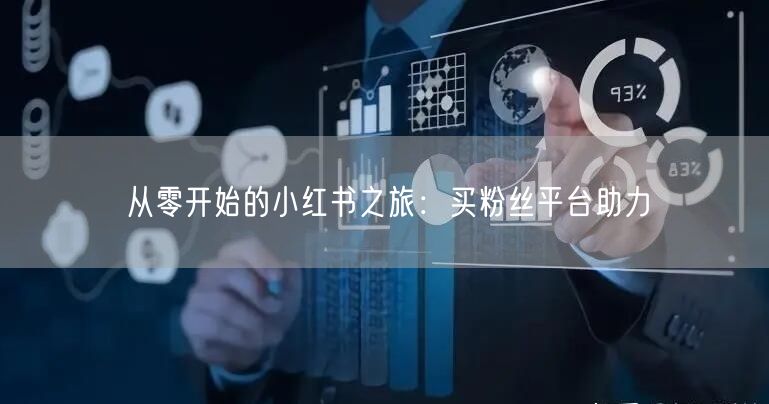 从零开始的小红书之旅：买粉丝平台助力