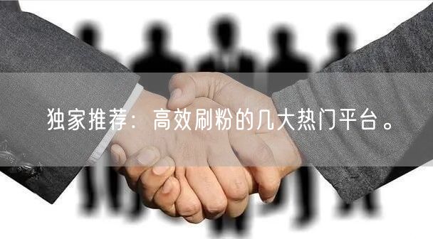 独家推荐：高效刷粉的几大热门平台。