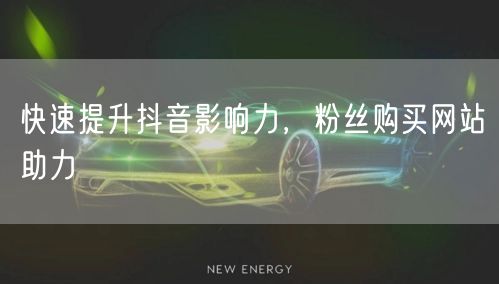 快速提升抖音影响力，粉丝购买网站助力