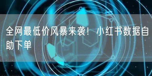全网最低价风暴来袭！小红书数据自助下单