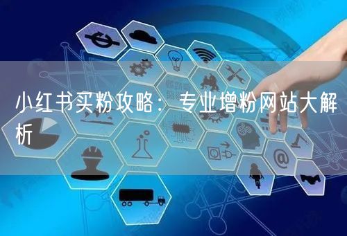 小红书买粉攻略：专业增粉网站大解析