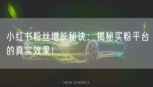 小红书粉丝增长秘诀：揭秘买粉平台的真实效果！